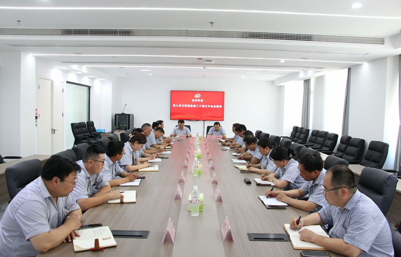 公司党委深入学习贯彻党的二十届三中全会精神